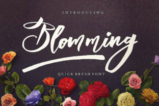 Blomming: A Script Handwritten Font for Editorial Impact