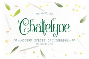 Chattelyne: A Delicate Script Font with Stunning Swashes