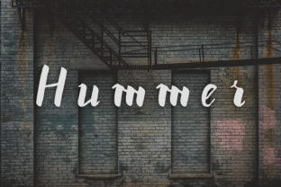 Hummer Script Handwritten Font for Standout Campaign Design