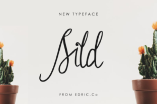 Sild: A Beautiful Handwritten Font for Elegant Branding