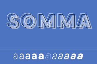 Somma Family: A Premium Sans Serif Font for Small Business Branding