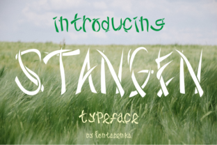 Stangen Font: A Decorative Typeface for Standout Web Headlines