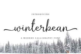 Winterbean: A Modern Calligraphy Font for Small Business Branding