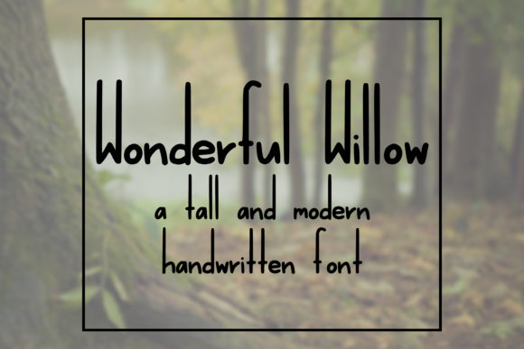 Wonderful Willow: A Tall and Skinny Font for Brand Design